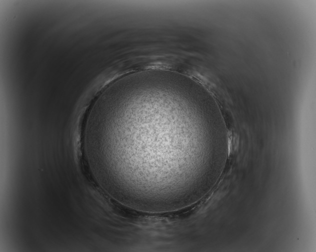 X0000088370339200705291332