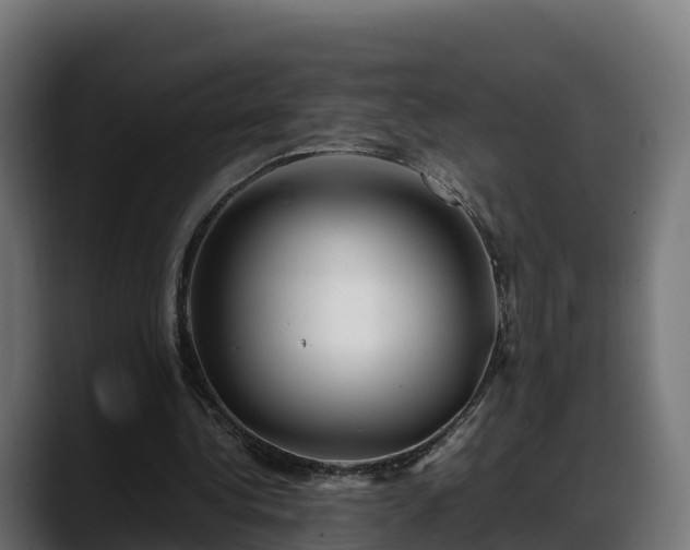 X0000088370340200705291332