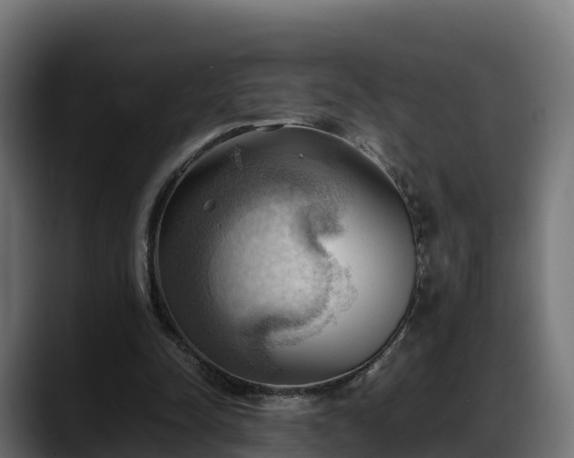 X0000088370342200705291332
