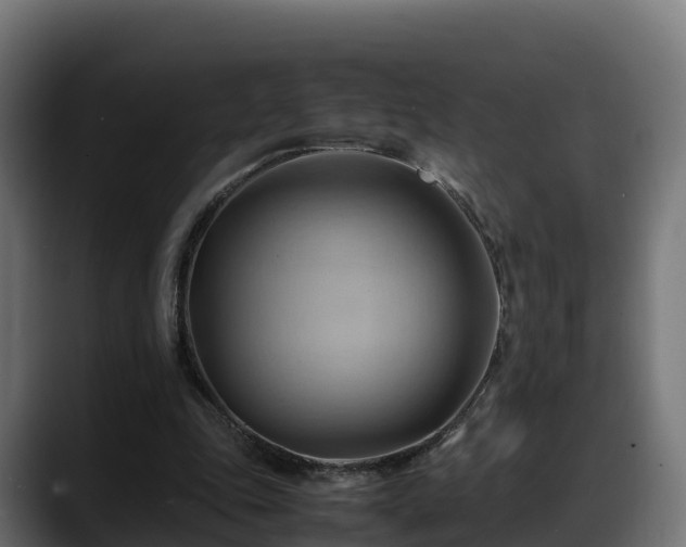 X0000088370343200705291332