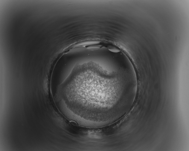 X0000088370345200705291332