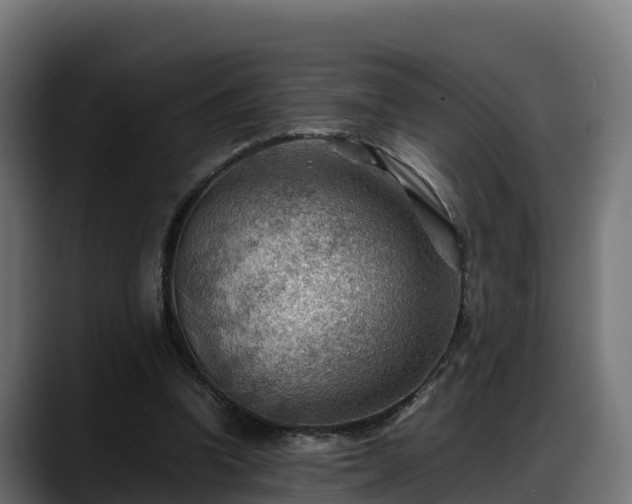 X0000088370346200705291332