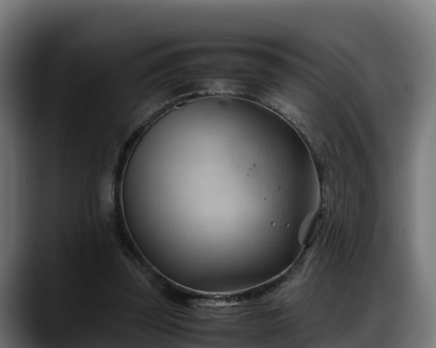 X0000088370347200705291332