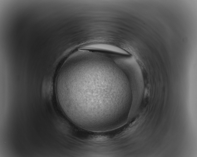 X0000088370348200705291332