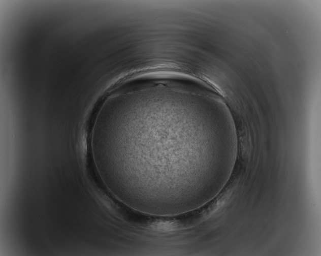 X0000088370350200705291332