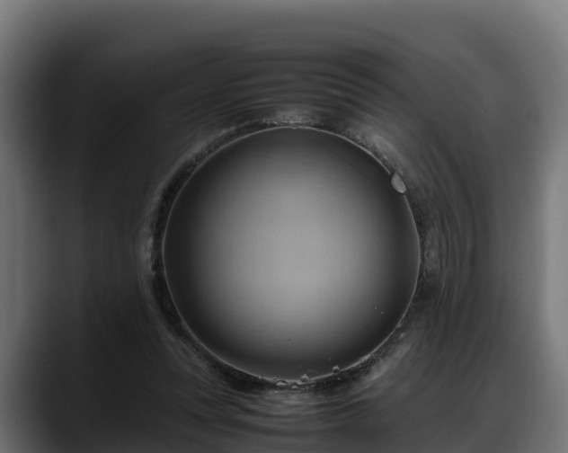 X0000088370351200705291332