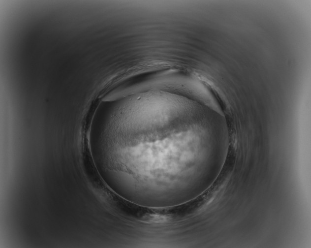 X0000088370352200705291332
