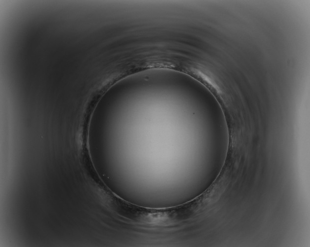 X0000088370353200705291332