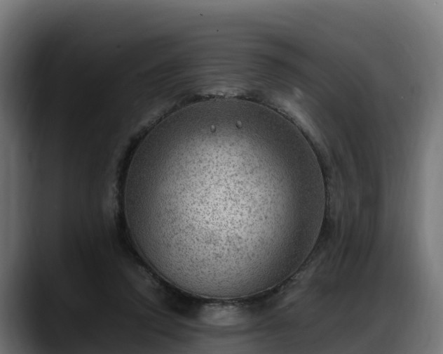 X0000088370354200705291332