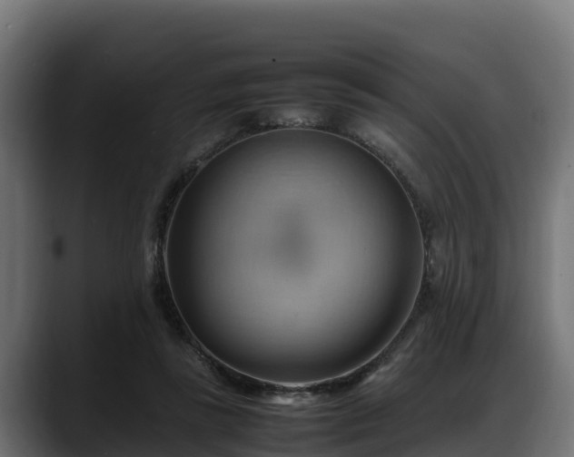 X0000088370355200705291332