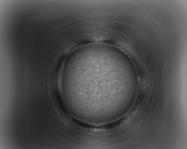 X0000088370360200705291332