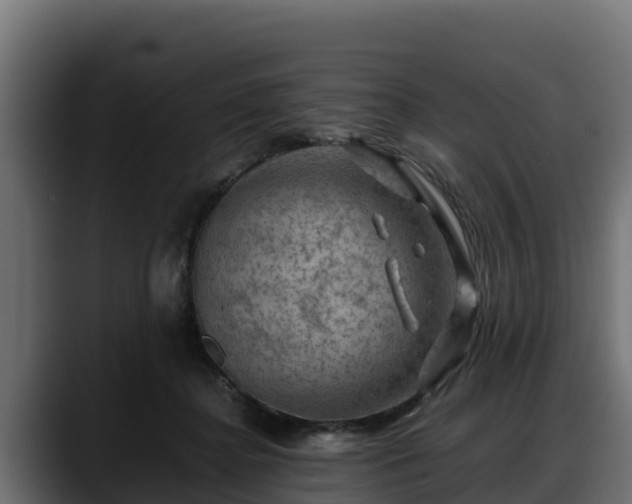 X0000088370364200705291332