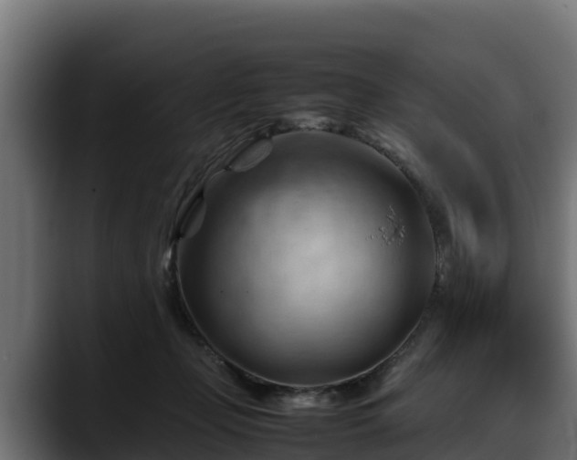 X0000088370365200705291332