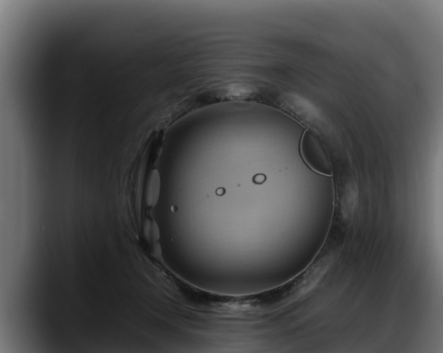 X0000088370366200705291332