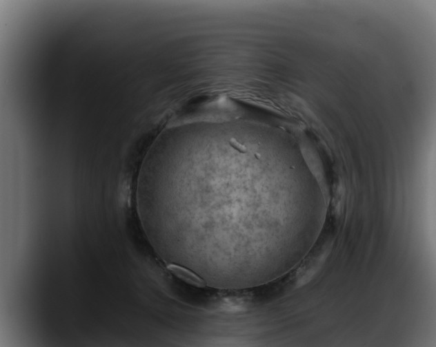 X0000088370368200705291332