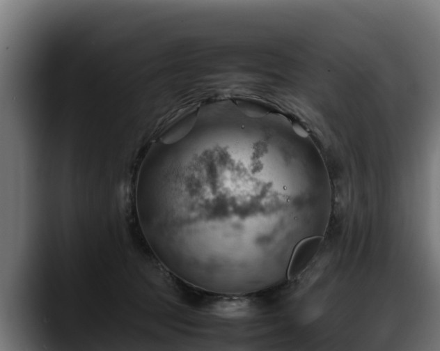X0000088370369200705291332