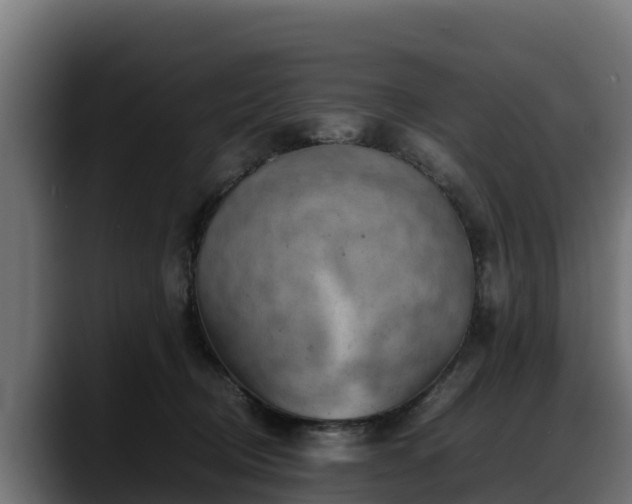 X0000088370370200705291332