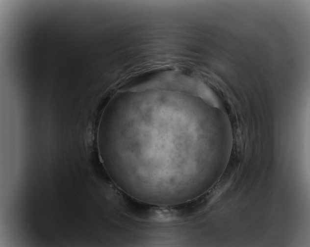 X0000088370372200705291332