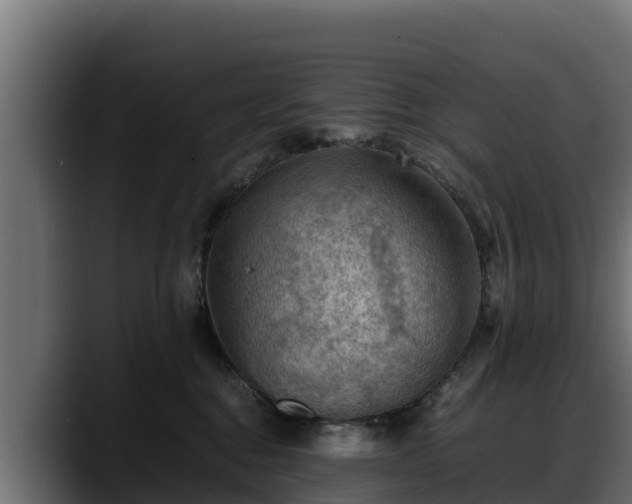 X0000088370376200705291332