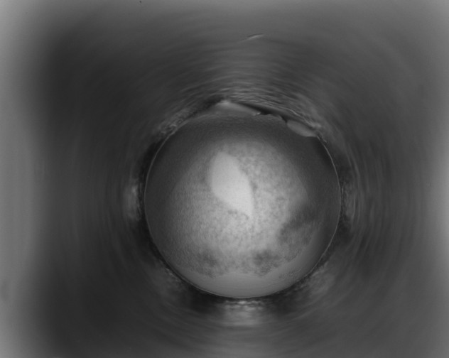 X0000088370378200705291332