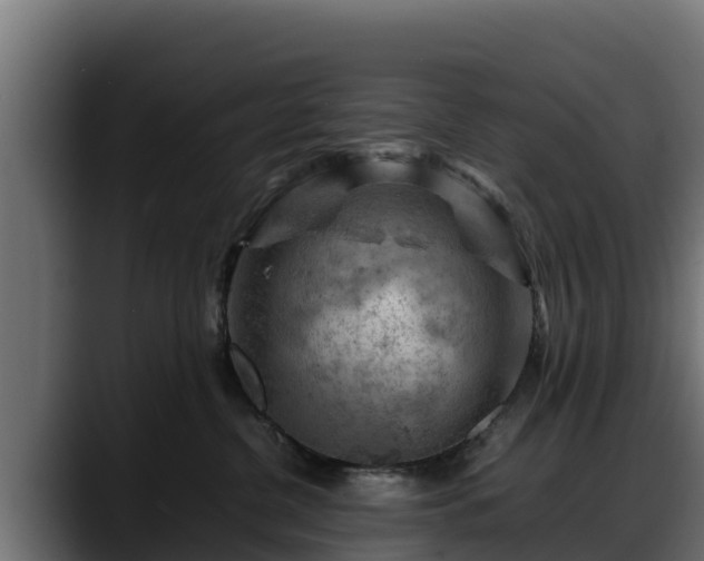 X0000088370380200705291332
