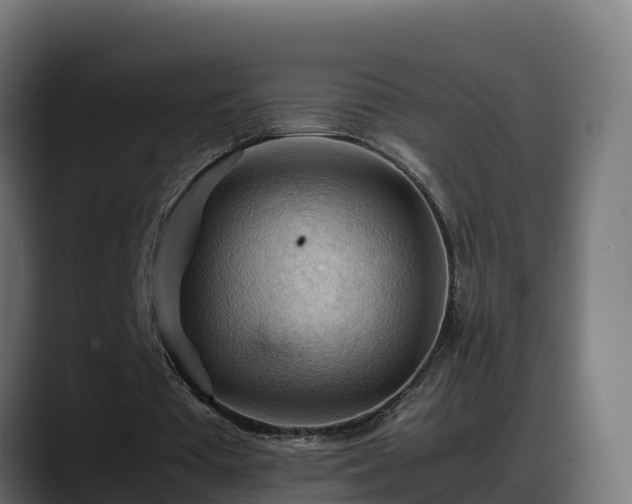 X0000088370385200705291332