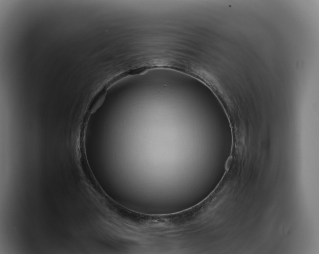 X0000088370386200705291332
