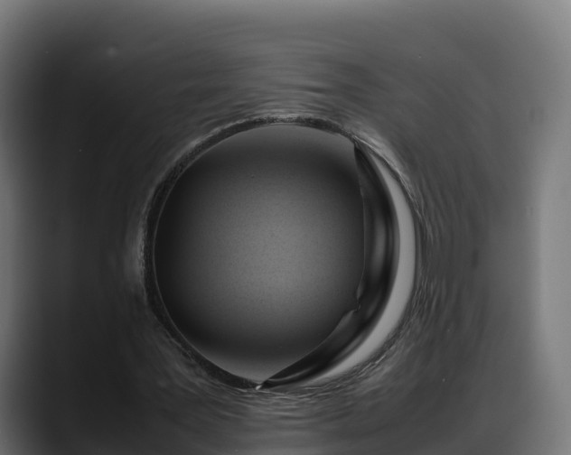X0000088370387200705291332