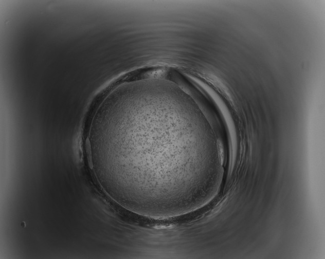 X0000088370388200705291332