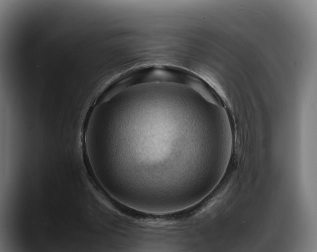 X0000088370389200705291332