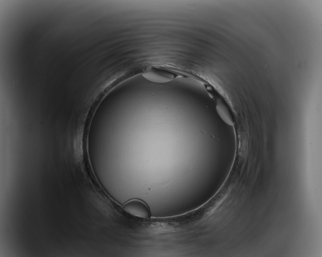 X0000088370390200705291332