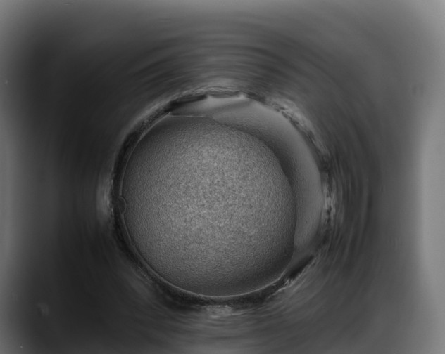 X0000088370392200705291332