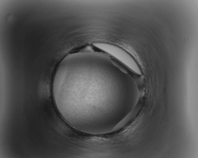 X0000088370393200705291332