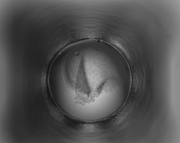 X0000088370394200705291332