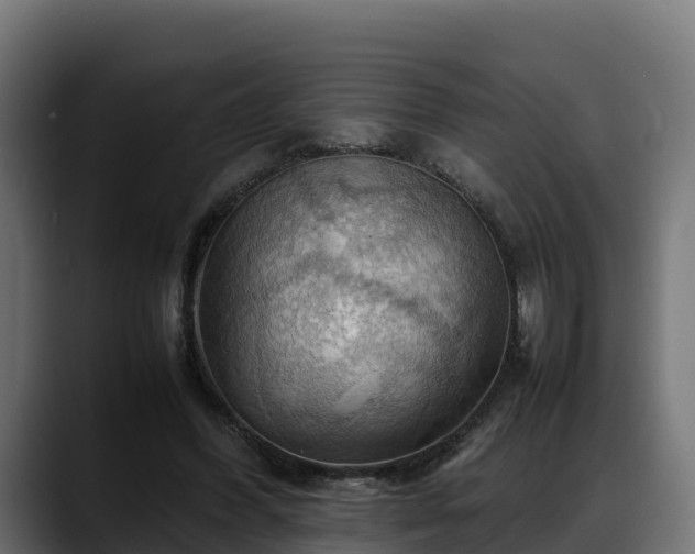 X0000088370396200705291332