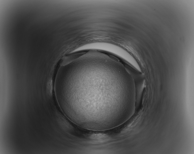 X0000088370397200705291332