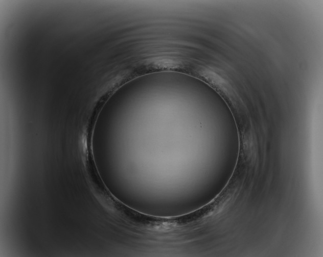 X0000088370398200705291332
