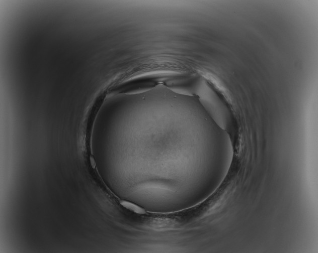 X0000088370399200705291332