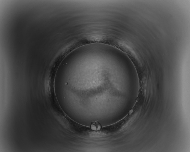 X0000088370400200705291332