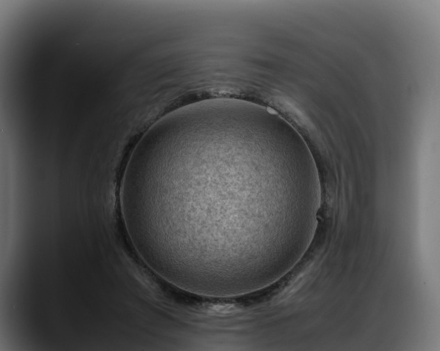 X0000088370401200705291332