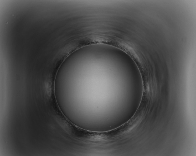 X0000088370402200705291332