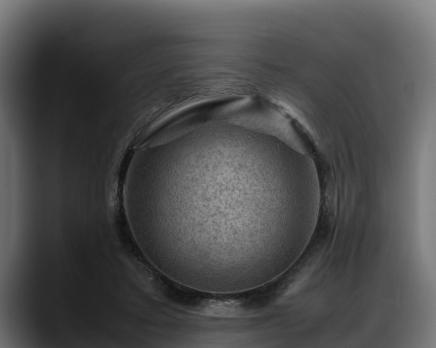 X0000088370403200705291332