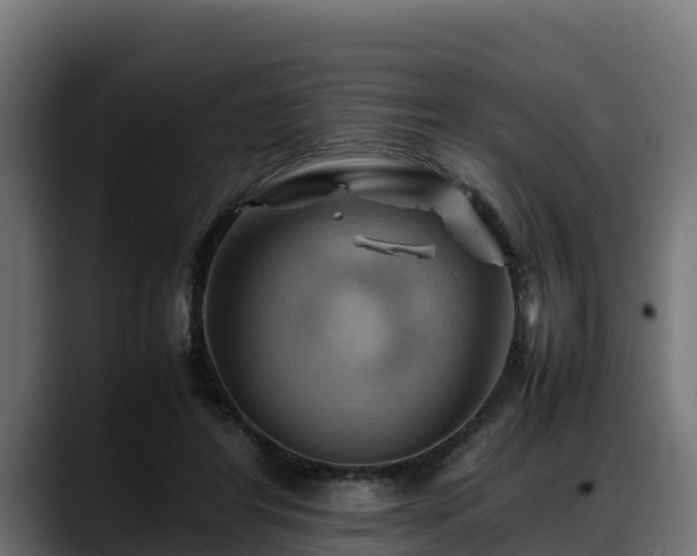 X0000088370404200705291332