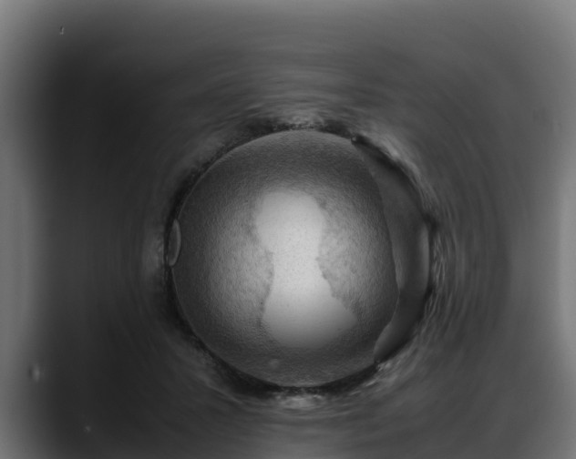 X0000088370407200705291332