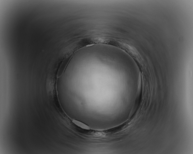 X0000088370409200705291332