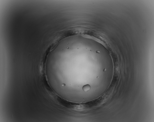 X0000088370411200705291331