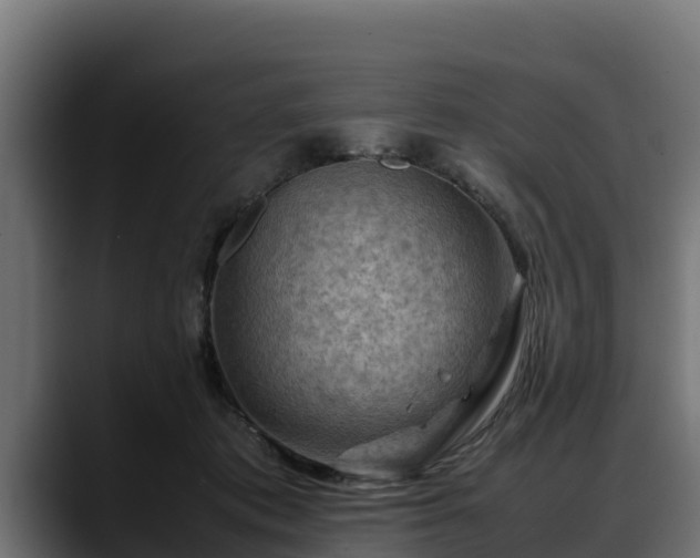X0000088370413200705291331