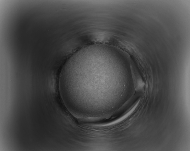 X0000088370416200705291331