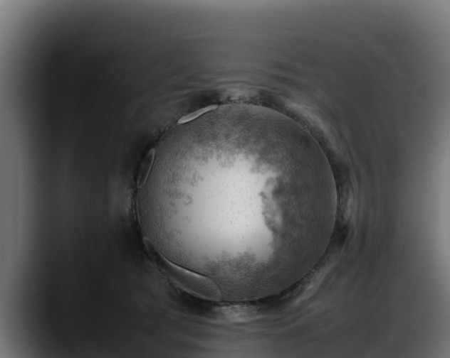 X0000088370417200705291331