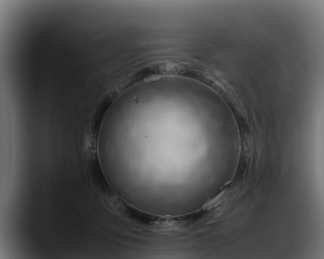 X0000088370419200705291331